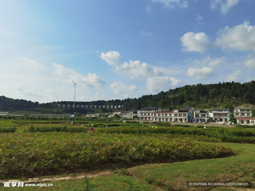 乡村田野中的房屋风景