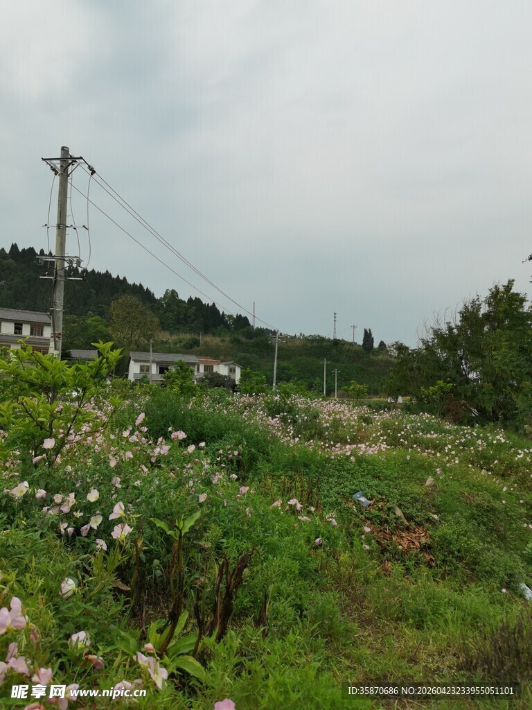 乡村田野风景