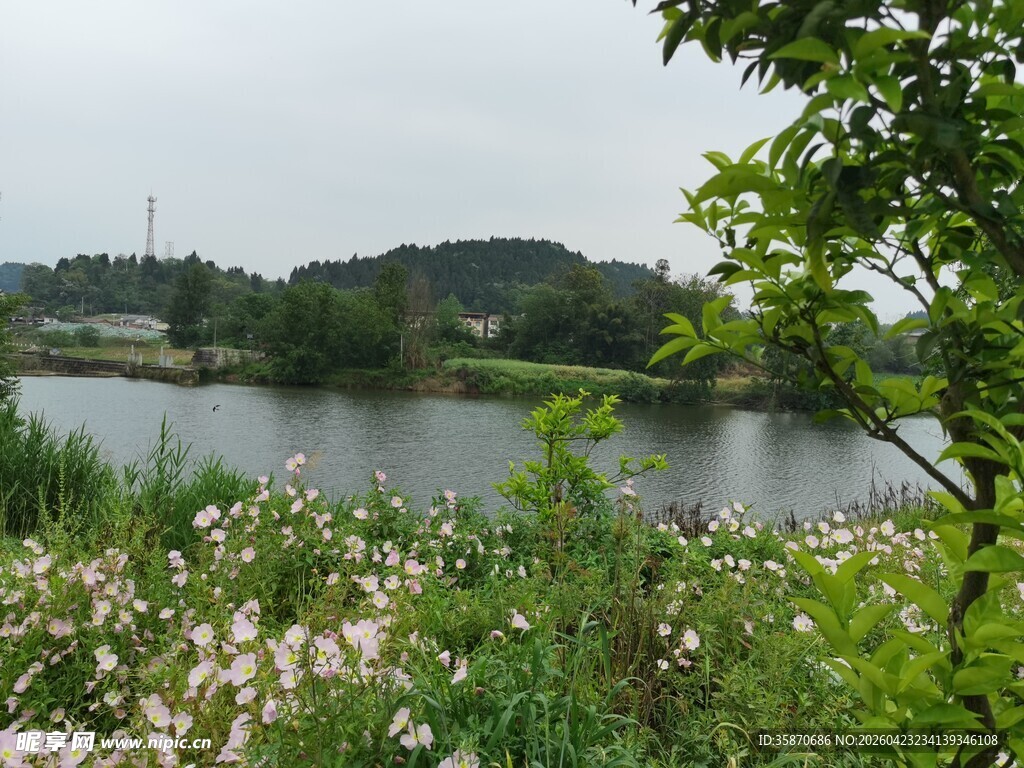 湖畔花草与远处青山景色