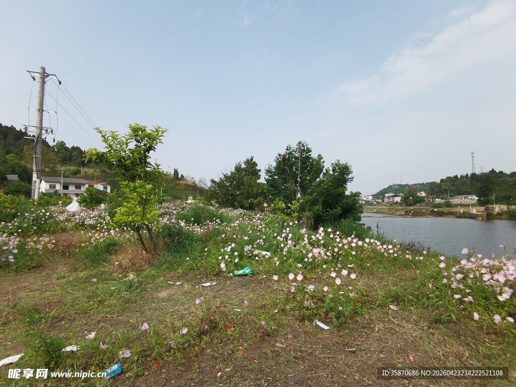 河边草地垃圾堆积场景