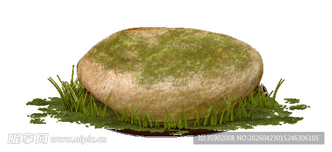 长满青苔的圆形石头