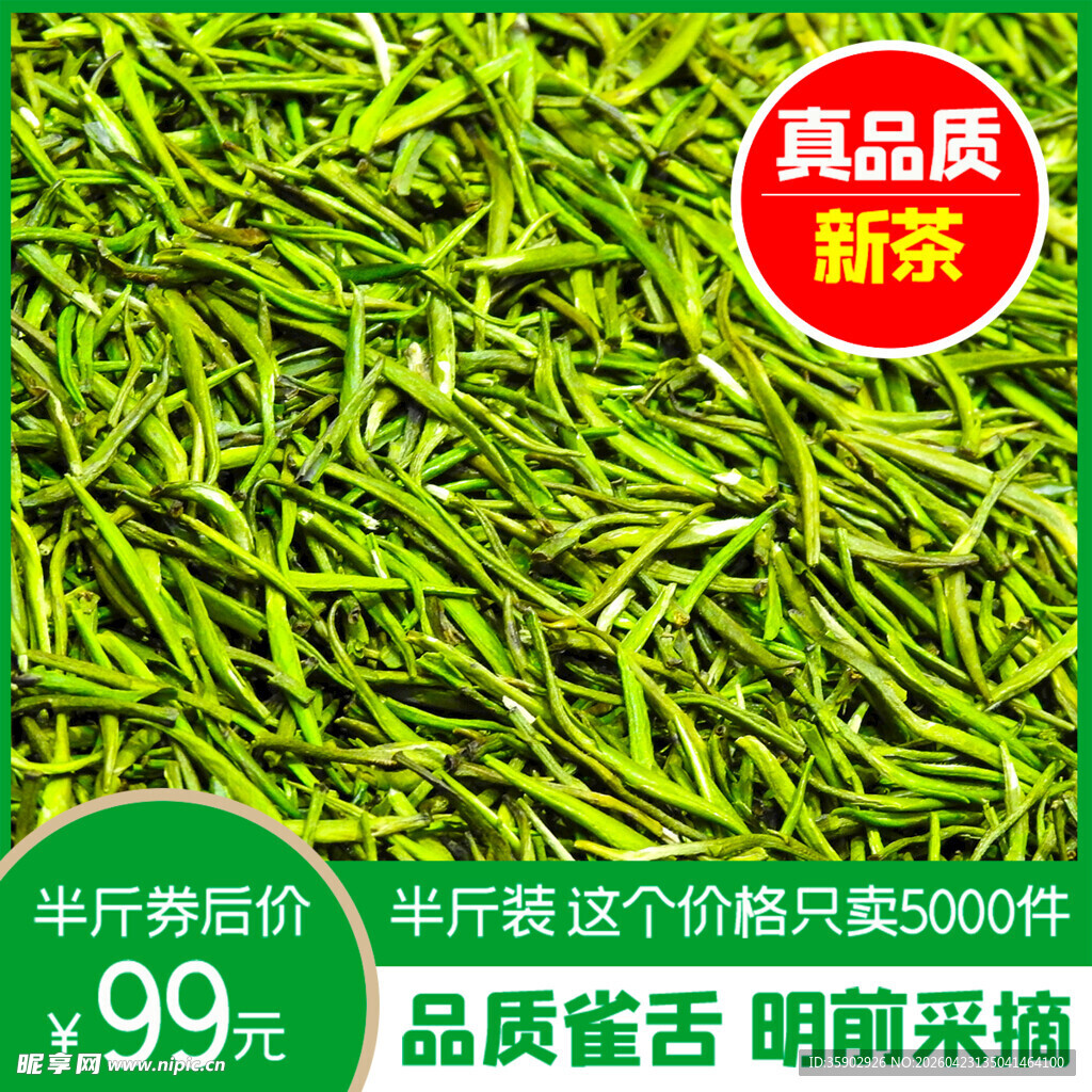 新茶上市 真品质明前绿茶