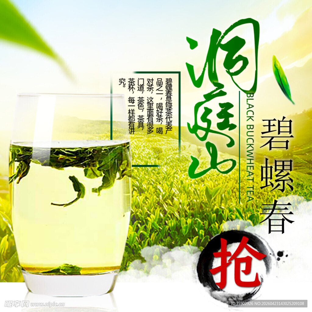 洞庭山碧螺春抢购中