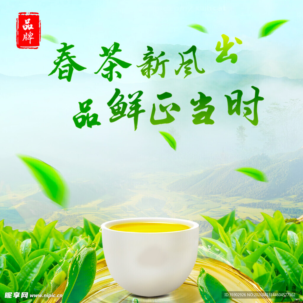 春茶品鲜感受自然之韵