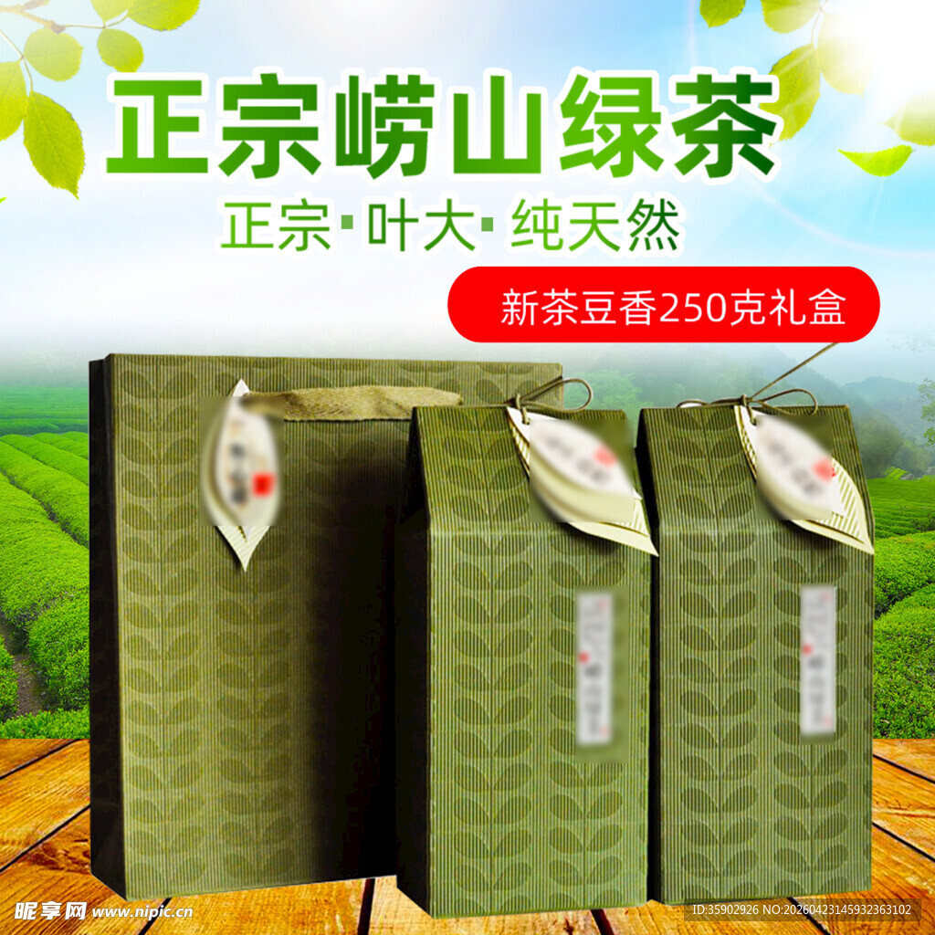 正宗崂山绿茶茶叶包装展示
