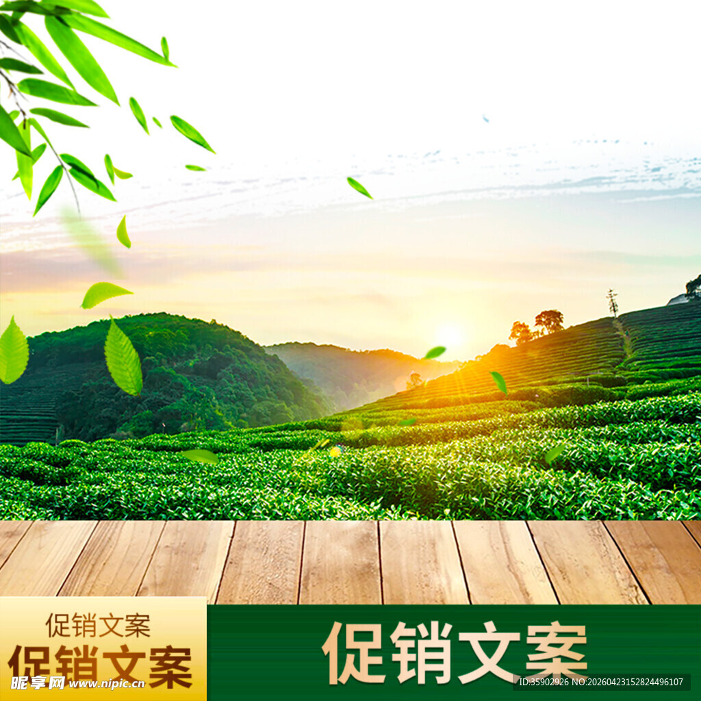 春日茶园促销场景