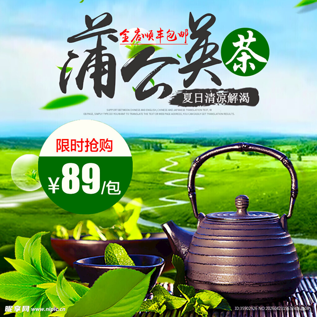 蒲公英茶限时特惠促销