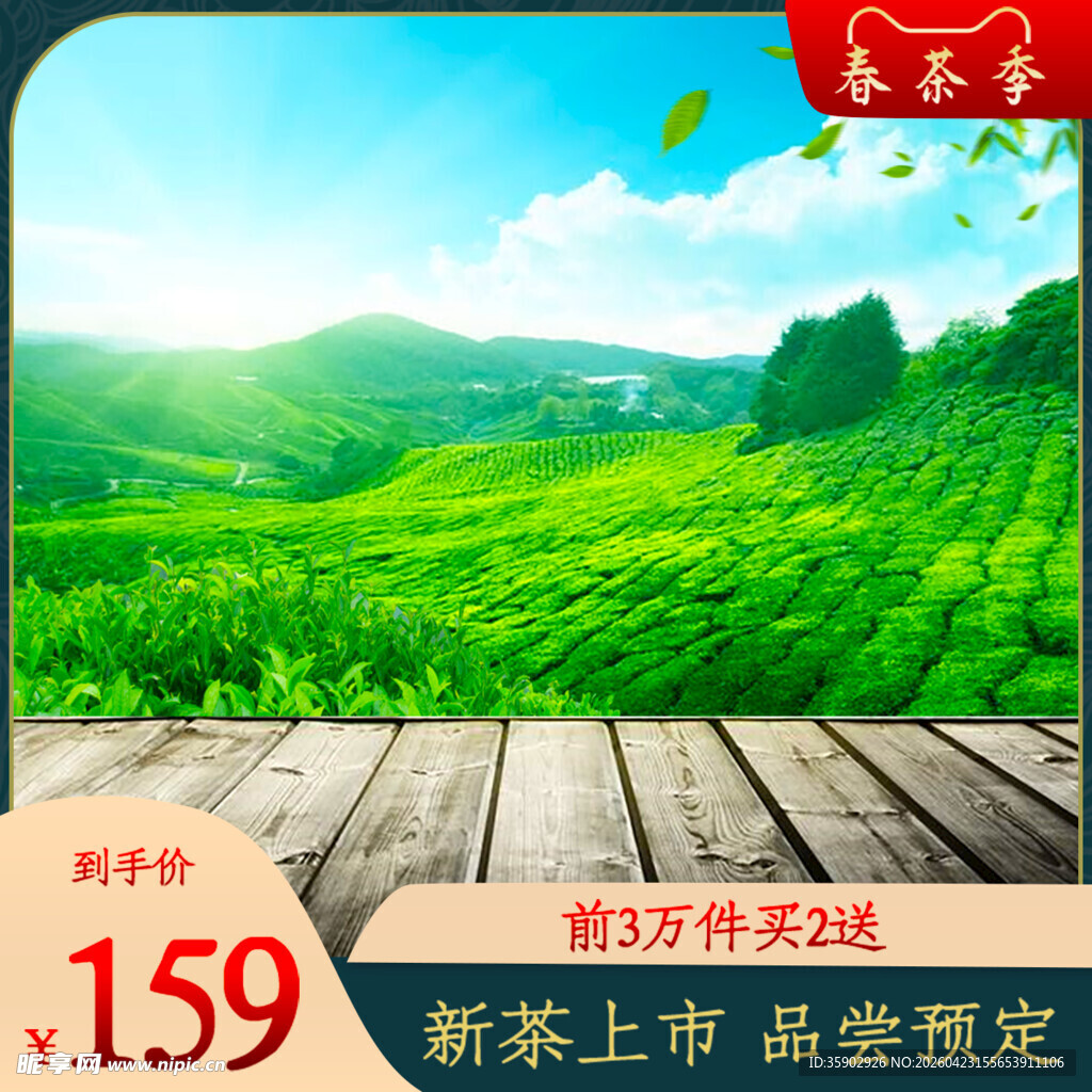 清新茶园风景图