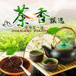 茶香飘逸品味中式茶文化