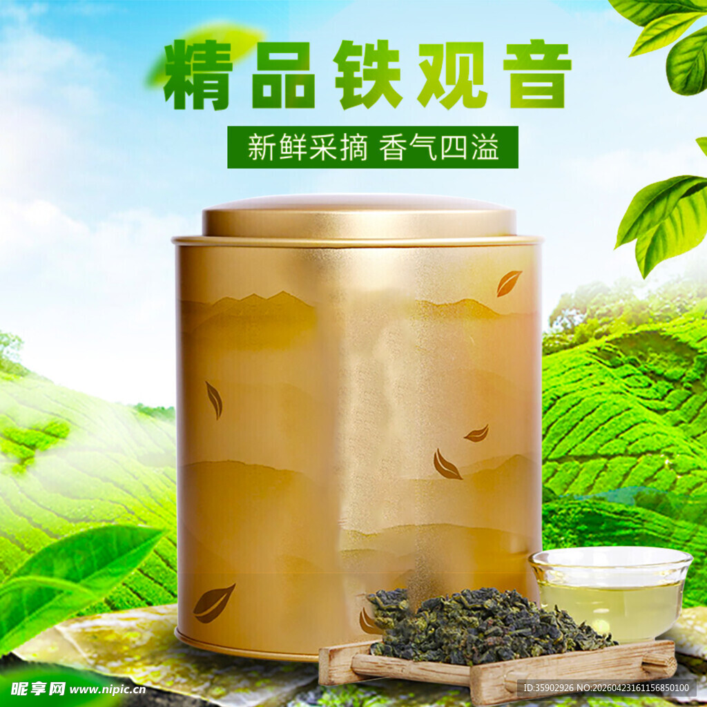 精品铁观音品味自然茶香