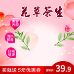 花草茶养生特惠促销