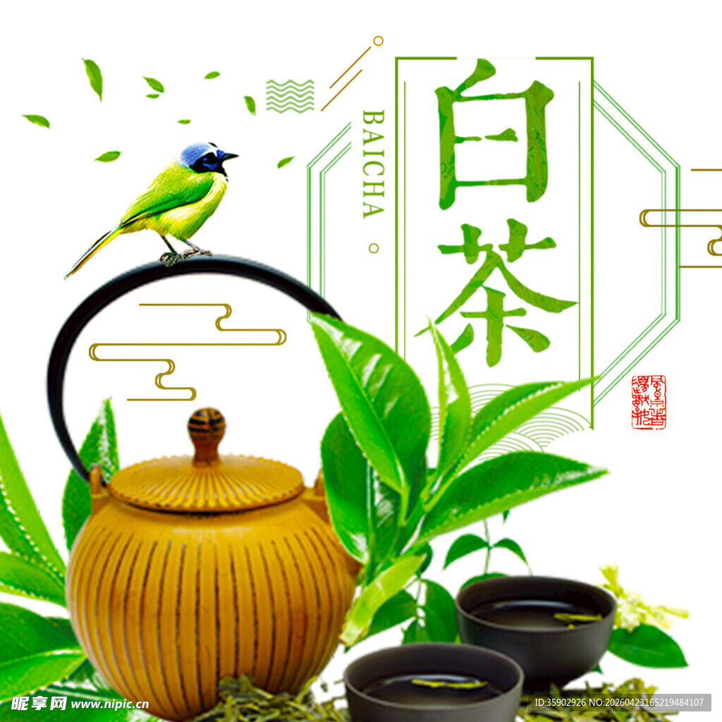 清新白茶茶具与翠鸟画面