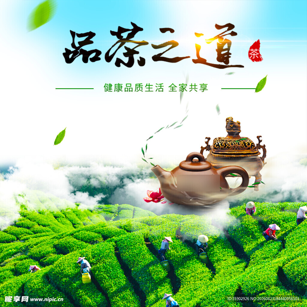 品茶之道茶园中的悠然意境