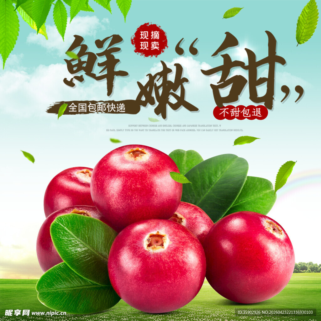 新鲜甜嫩的蔓越莓果实