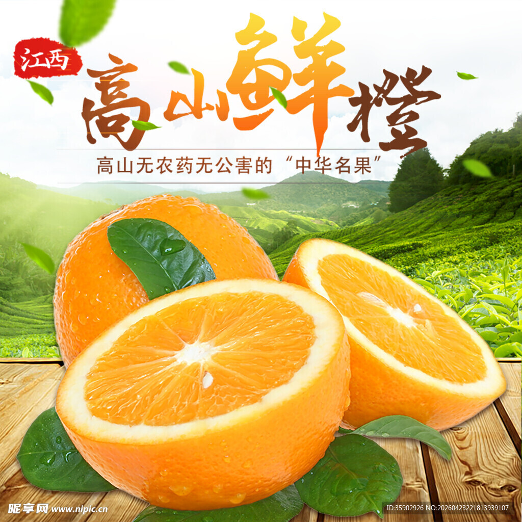 高山鲜橙自然好滋味
