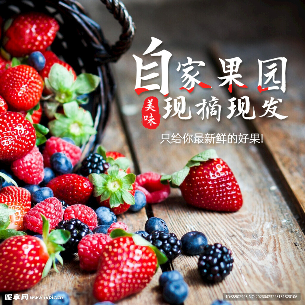 新鲜果园莓果现摘现发