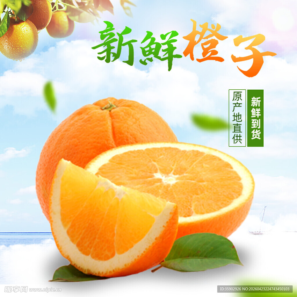 新鲜橙子果香四溢
