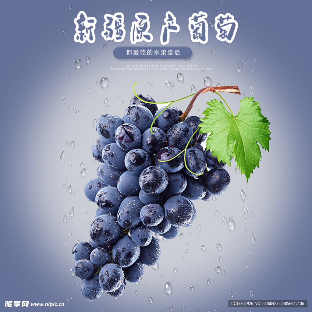 新鲜紫葡萄水润饱满诱人