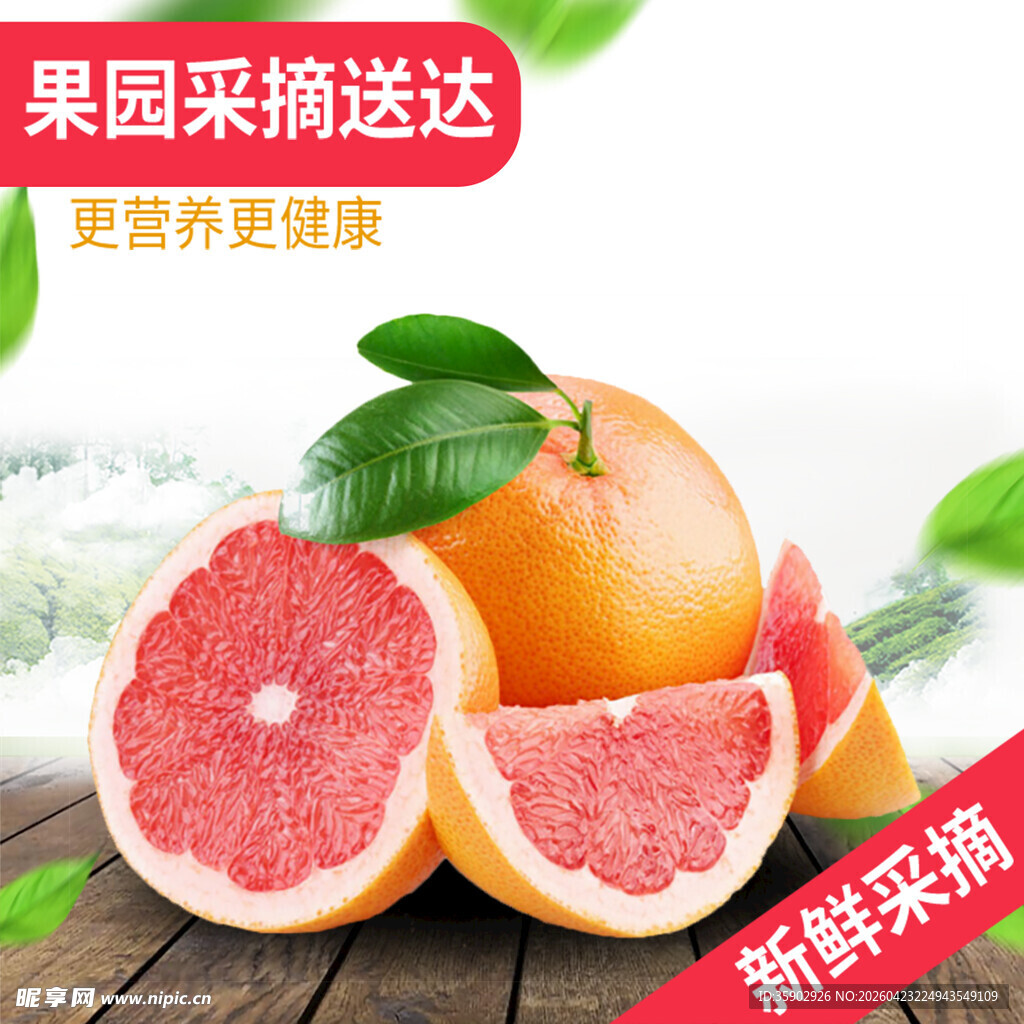 新鲜果园采摘葡萄柚