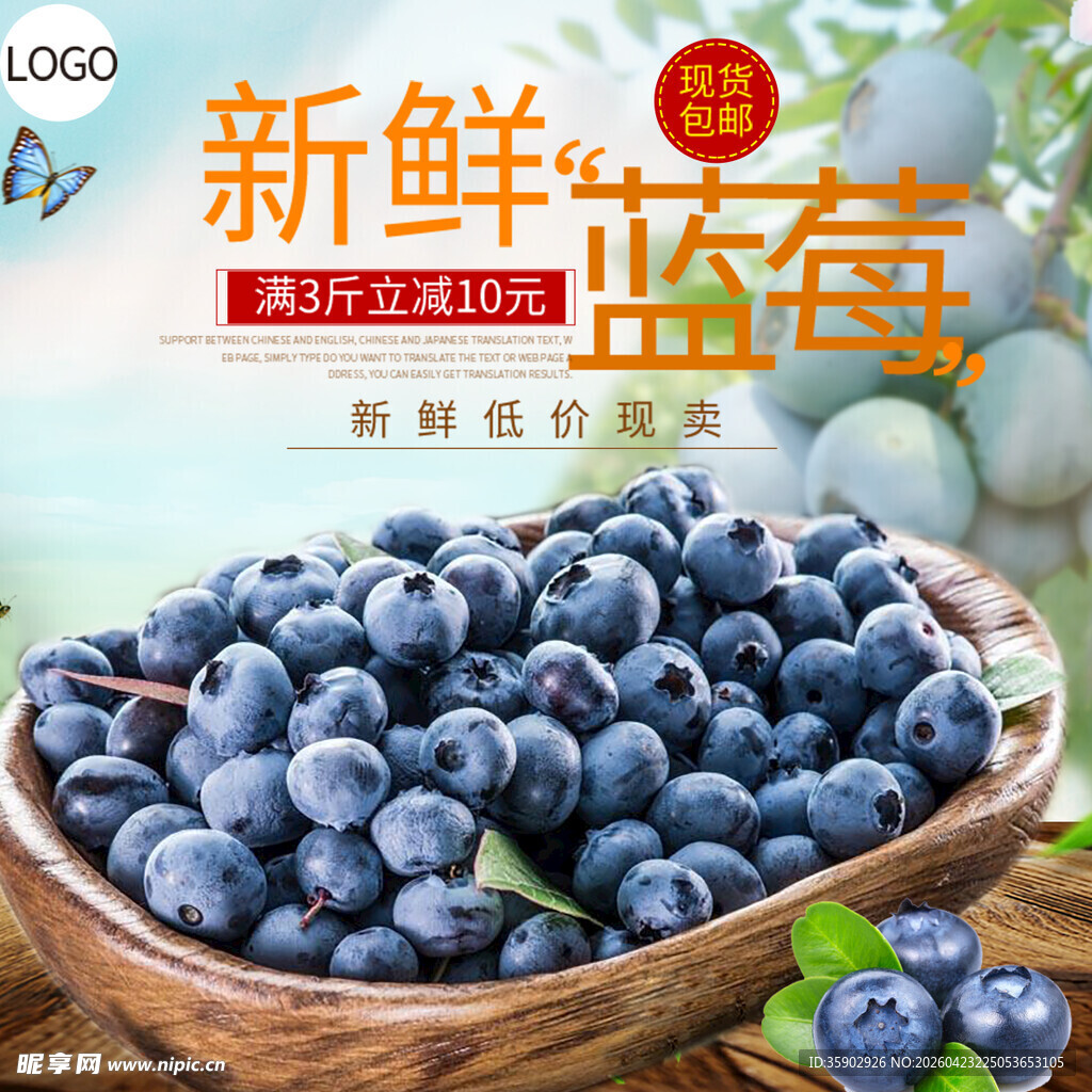 新鲜饱满蓝莓美味呈现