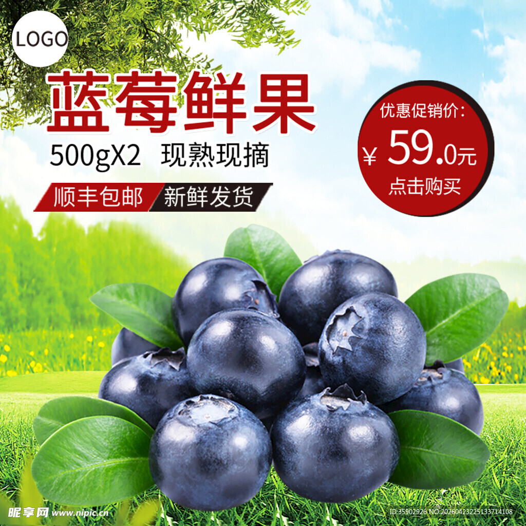 新鲜蓝莓鲜果促销