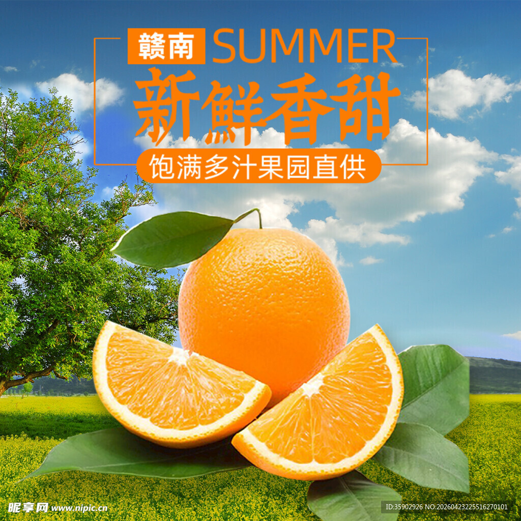 夏日新鲜脐橙美味登场