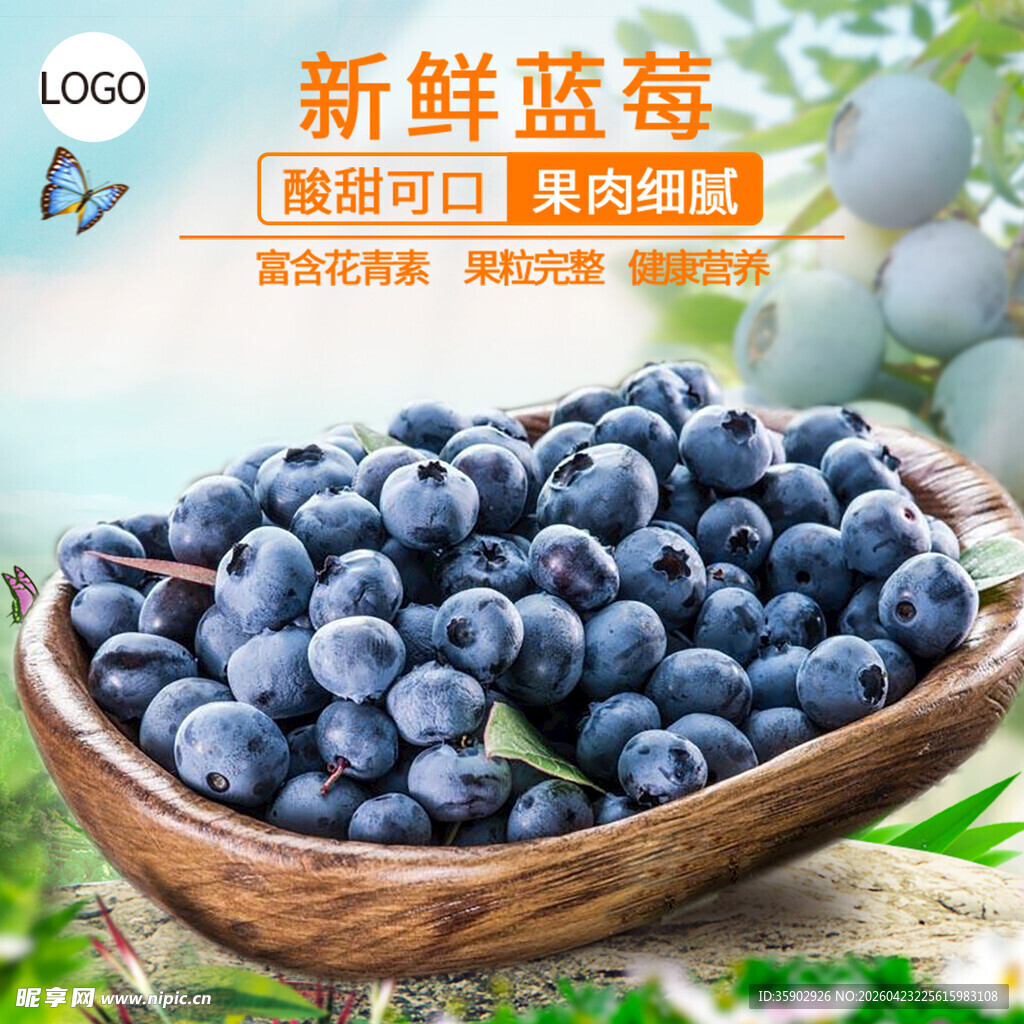 新鲜蓝莓饱满多汁待品尝