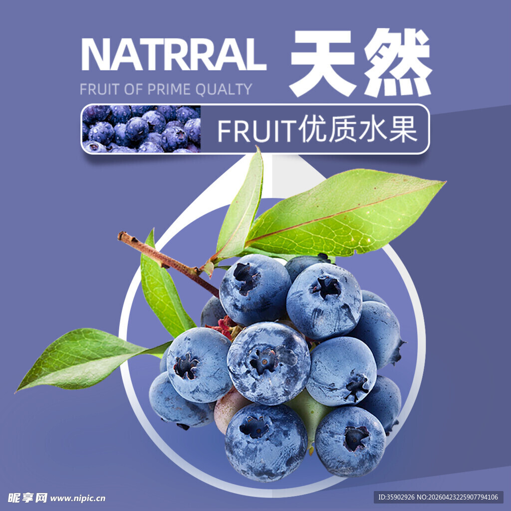 优质天然蓝莓饱满多汁