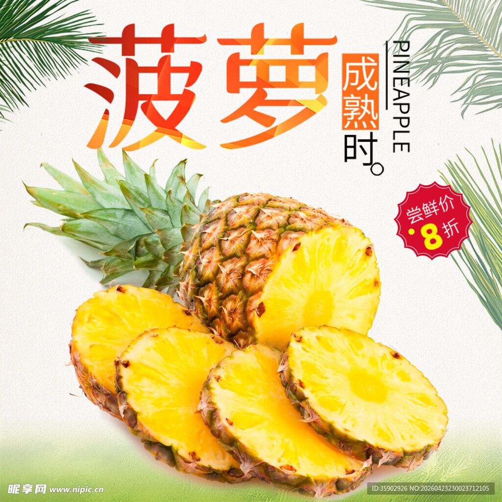 新鲜多汁菠萝切片展示