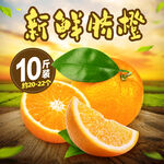 新鲜脐橙10斤抢先尝