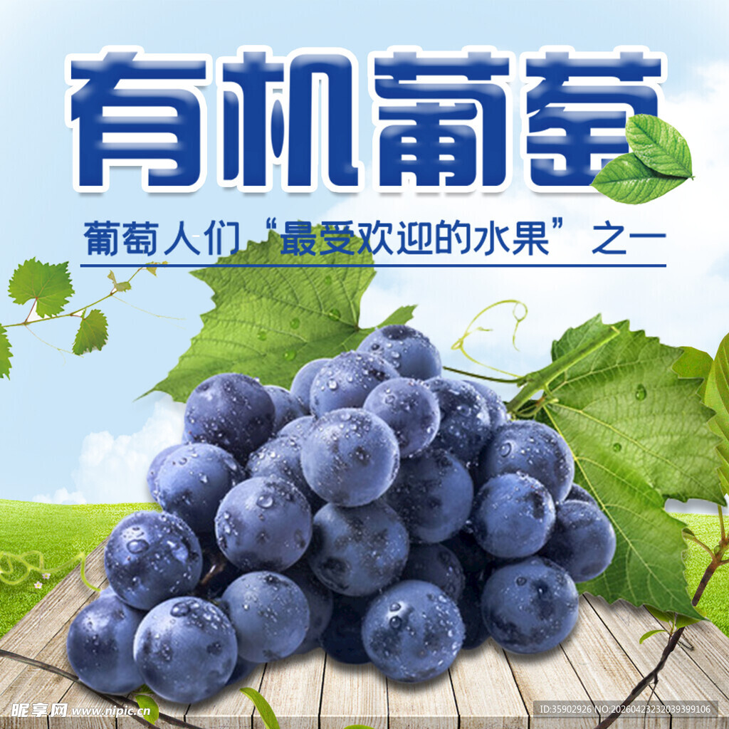 有机葡萄天然美味之选