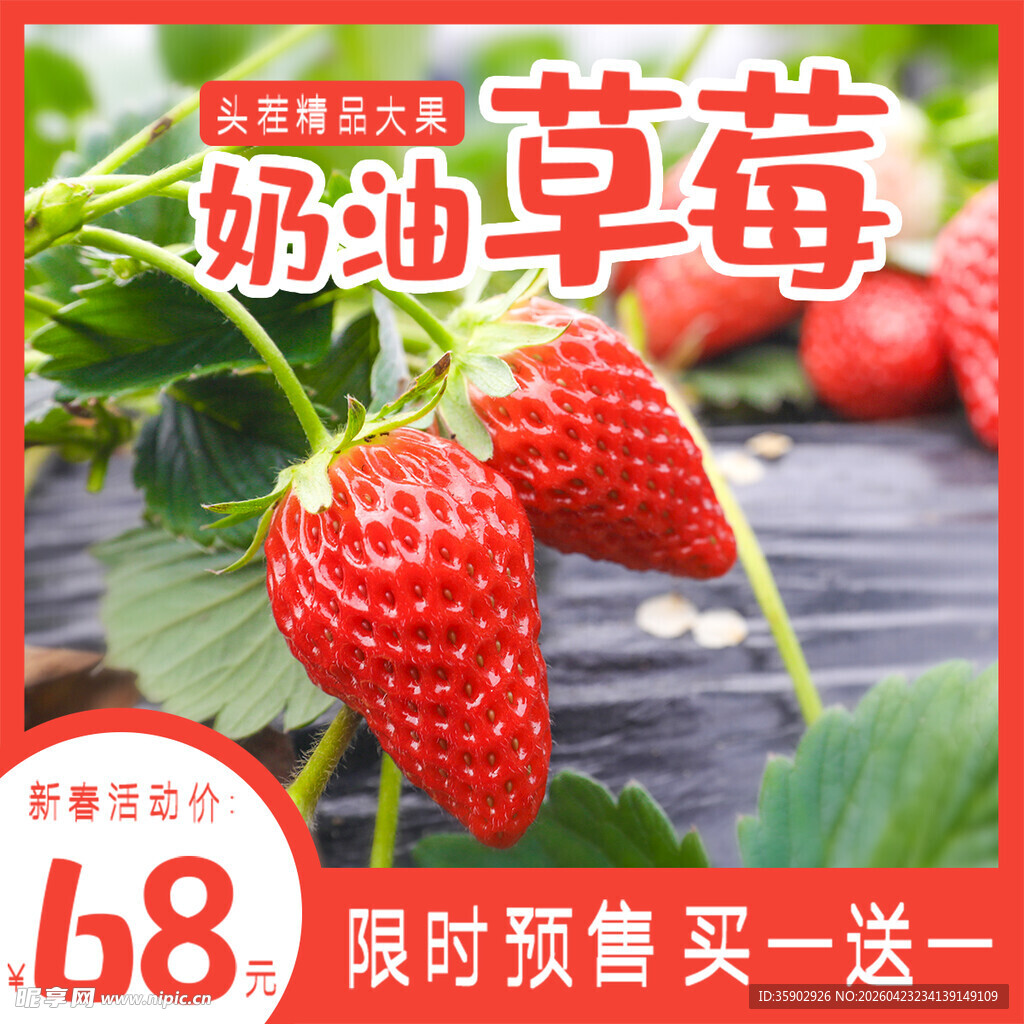 新鲜奶油草莓限时优惠