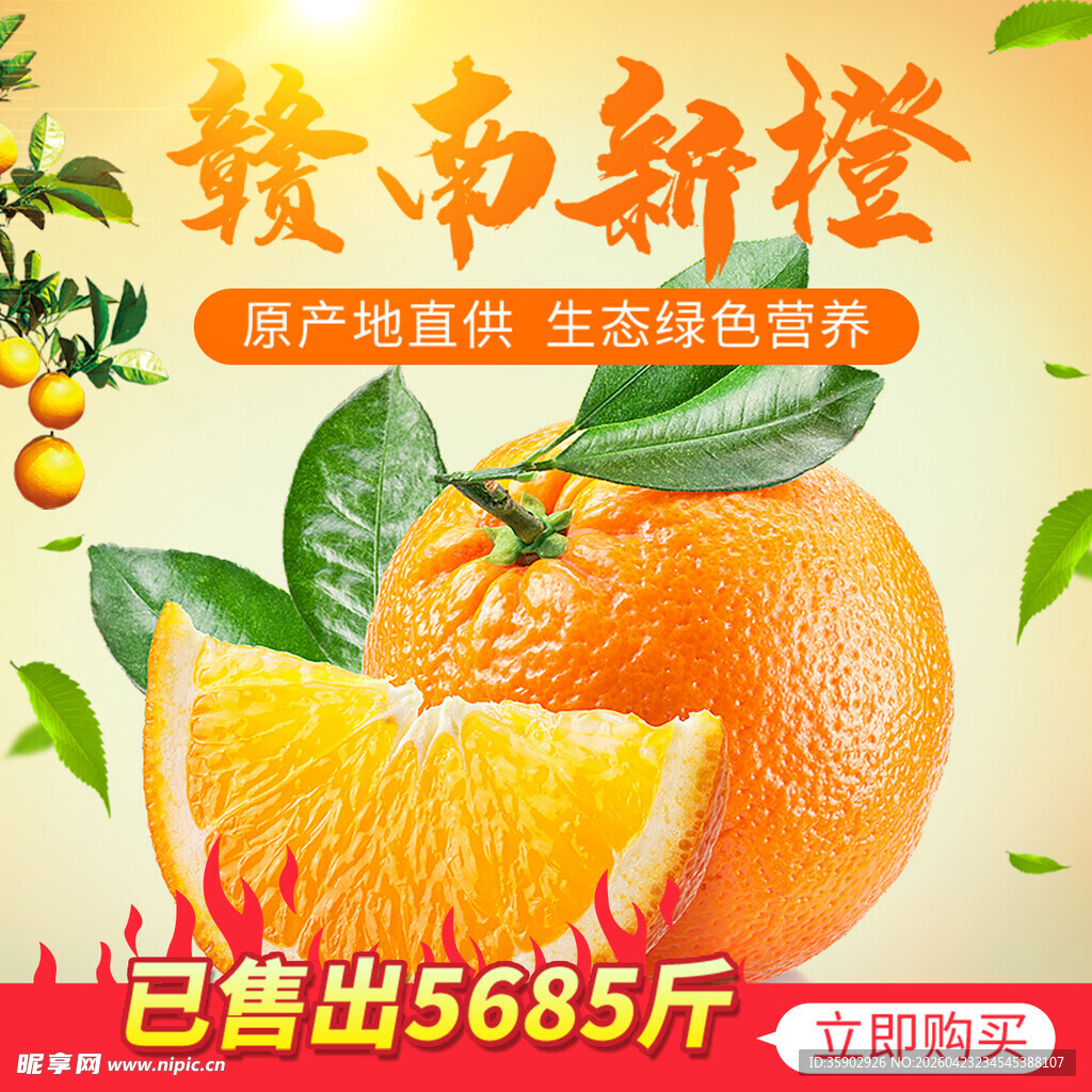 赣南脐橙新鲜美味抢先尝