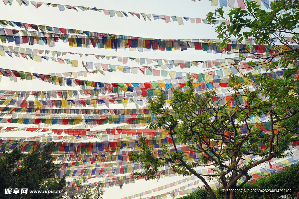 五彩经幡悬挂于绿树间