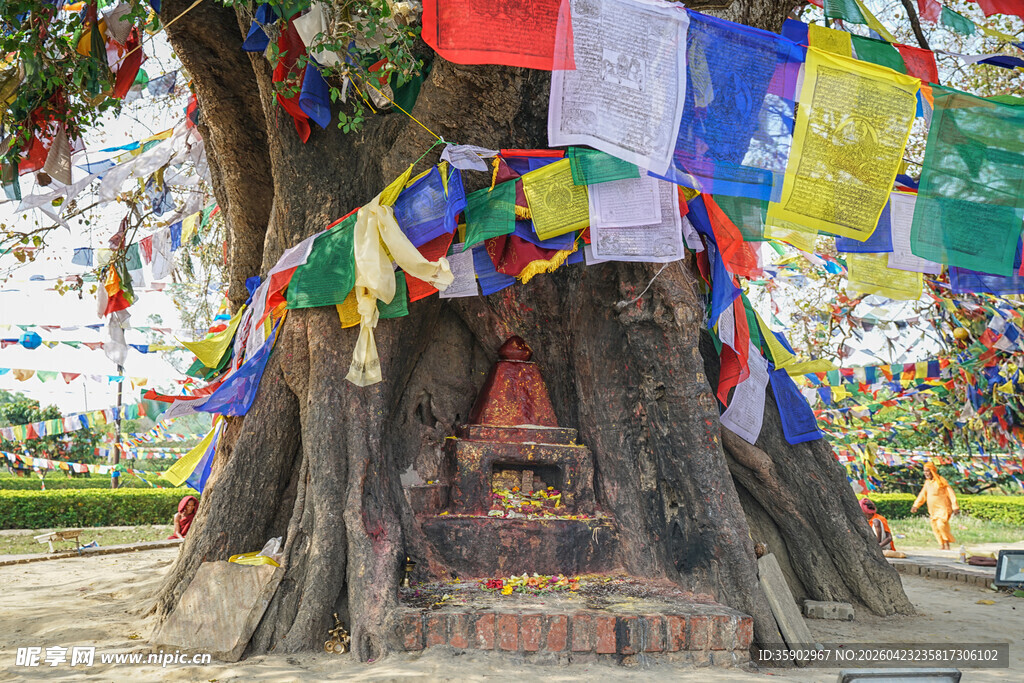 树下经幡藏地独特风景