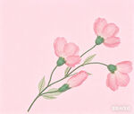 粉色花卉插画清新柔美