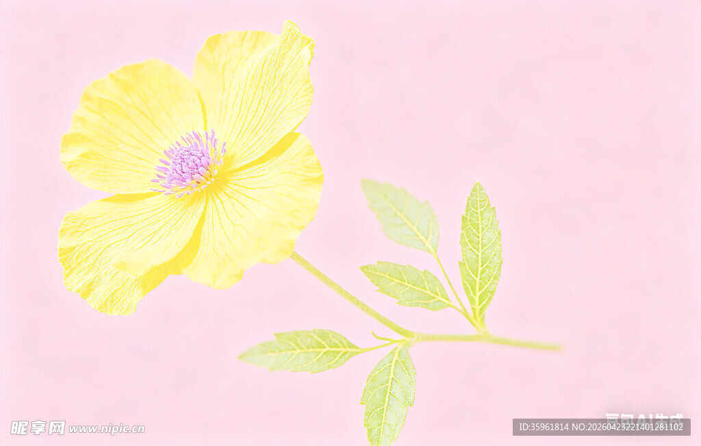 粉色背景上的黄色小花