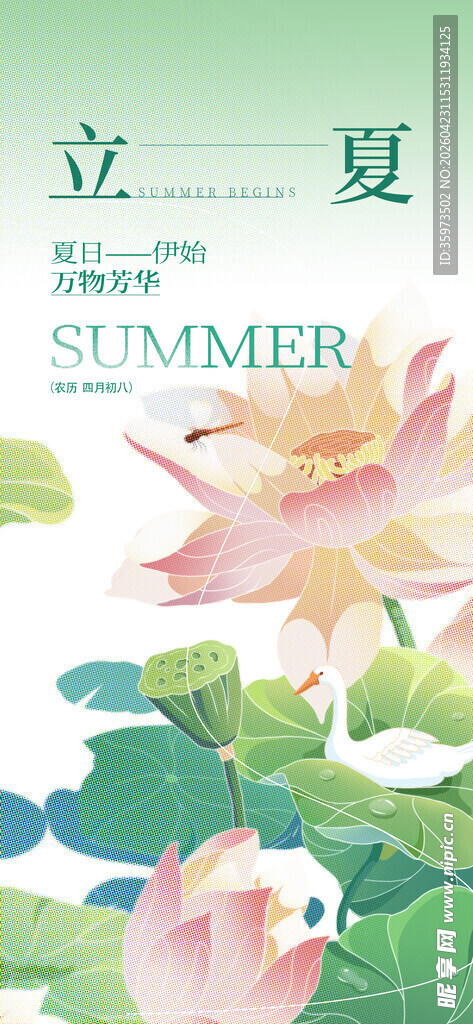 立夏海报