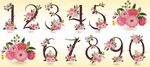 花卉装饰数字图案