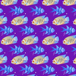 紫色背景多彩鱼图案