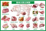 猪肉各部位分解示意图