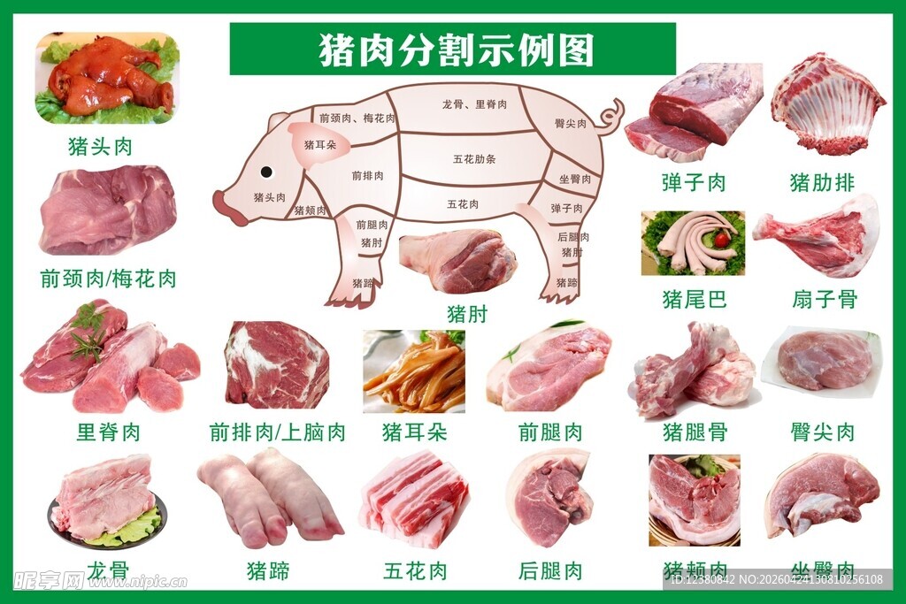猪肉各部位分解示意图