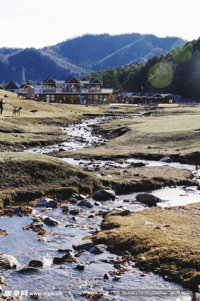 山间小溪穿流荒野美景
