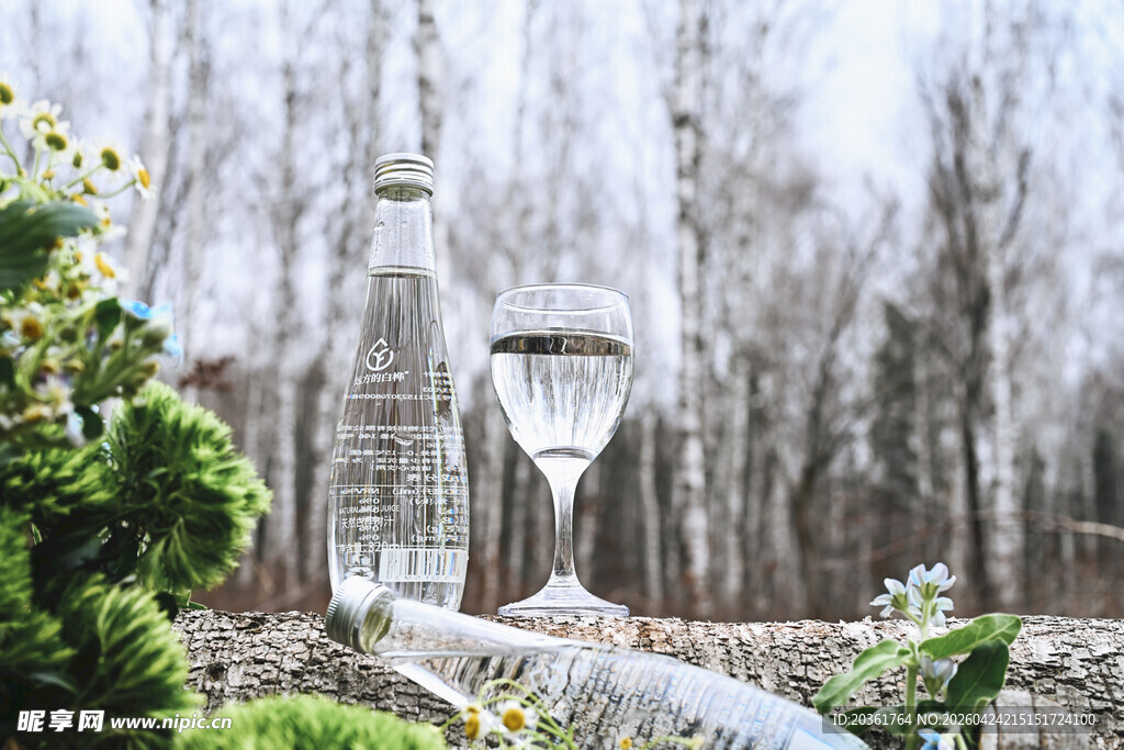 冬日园林景观中的路灯