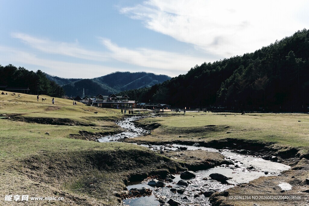 山间溪流旁的开阔草地