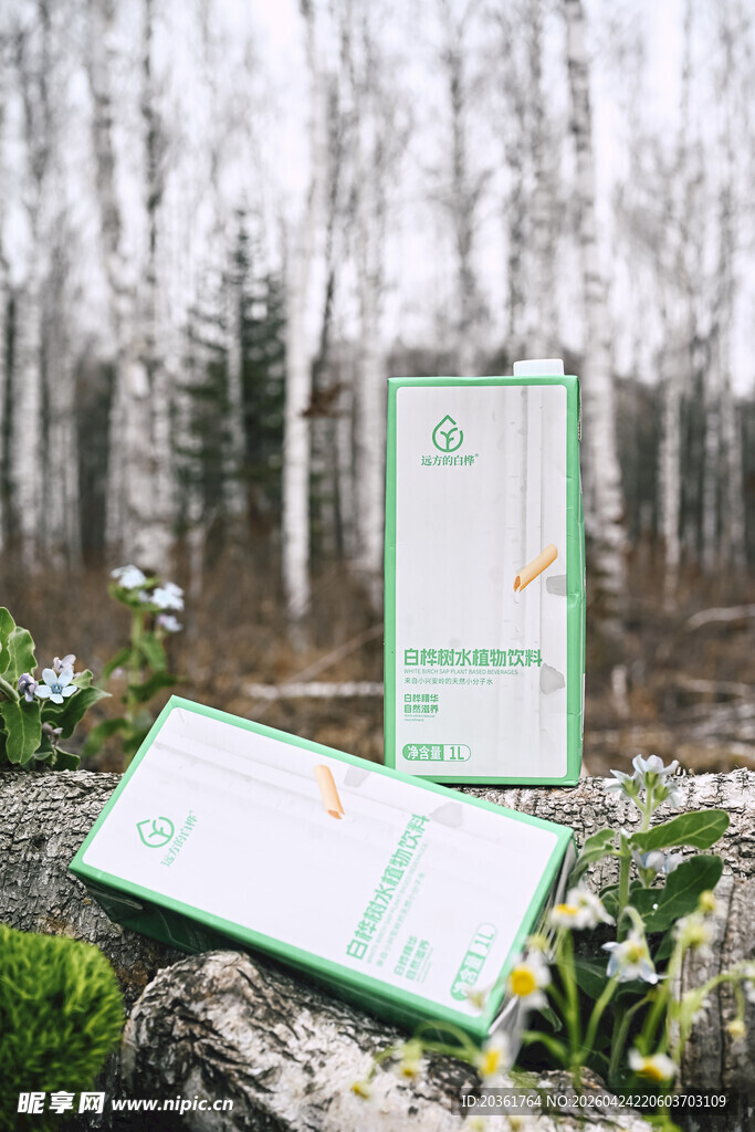 户外林间的精美绿色邀请函