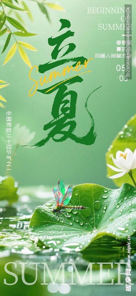 立夏时节   荷叶荷花初绽