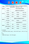 工程概况表展示