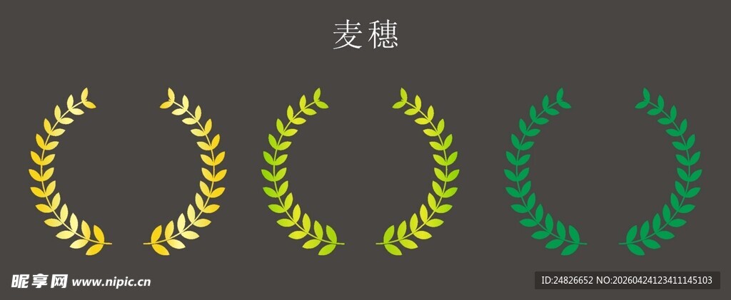 麦穗