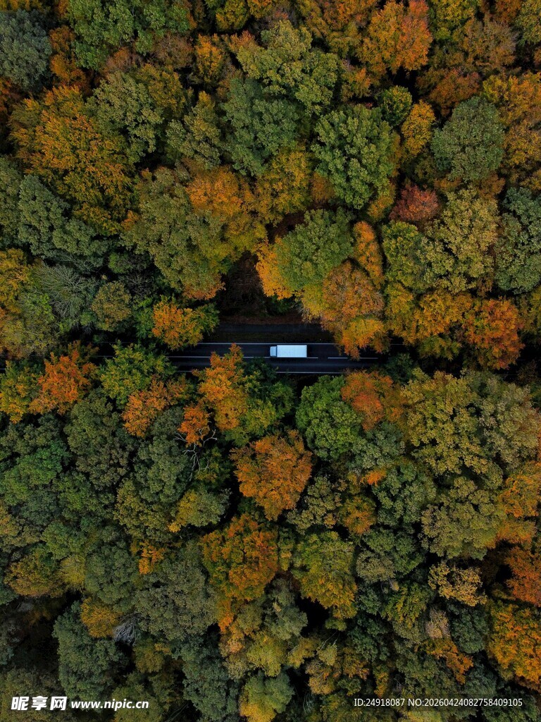 森林中的孤独车辆